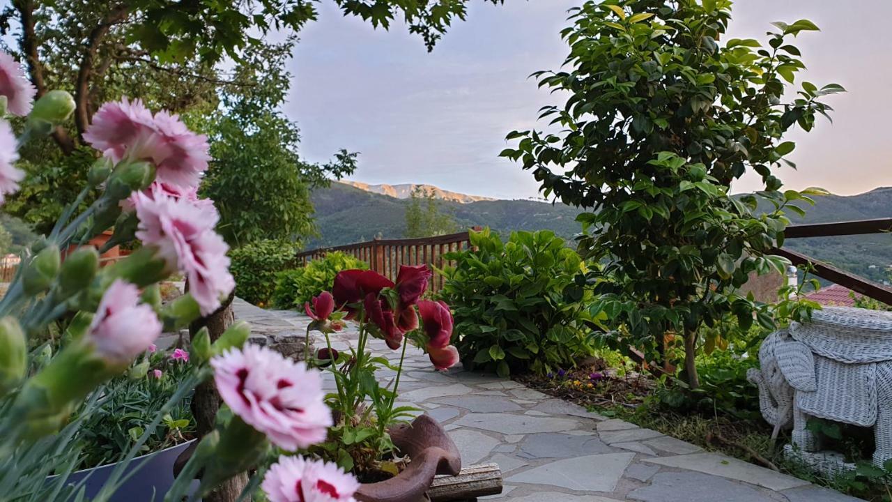 Alagonia Country Homes Exterior photo