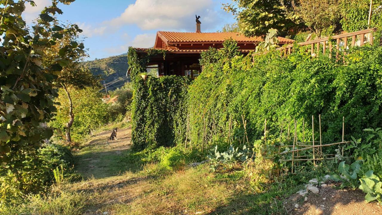 Alagonia Country Homes Exterior photo