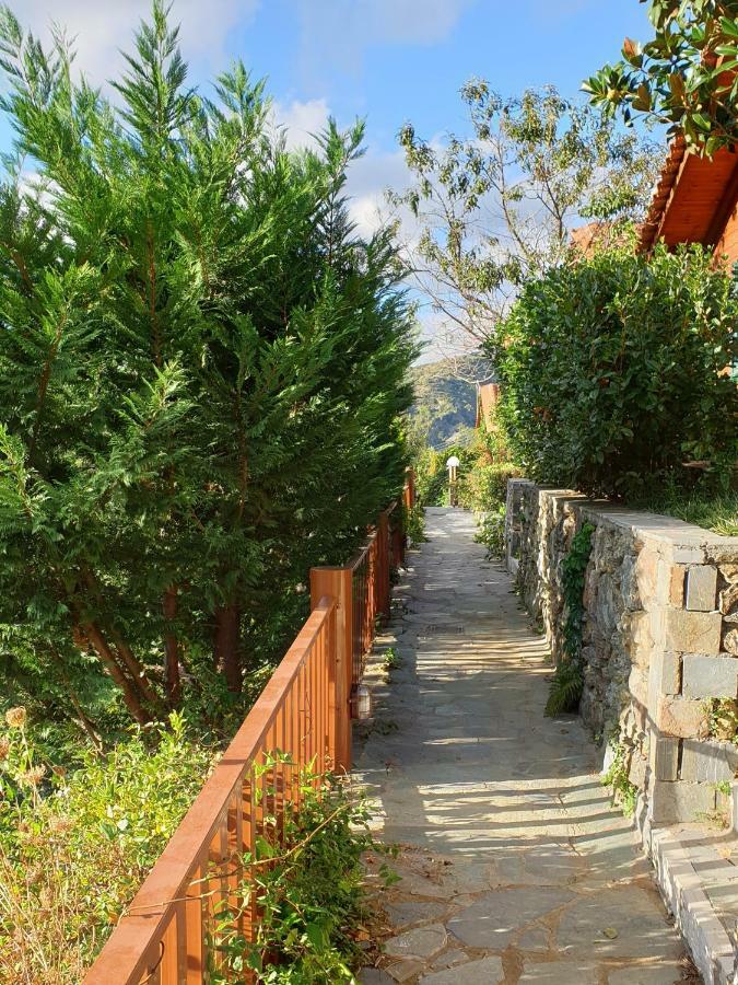 Alagonia Country Homes Exterior photo